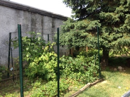 Berry enclosure 